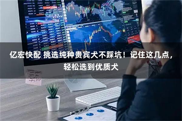 亿宏快配 挑选纯种贵宾犬不踩坑！记住这几点，轻松选到优质犬