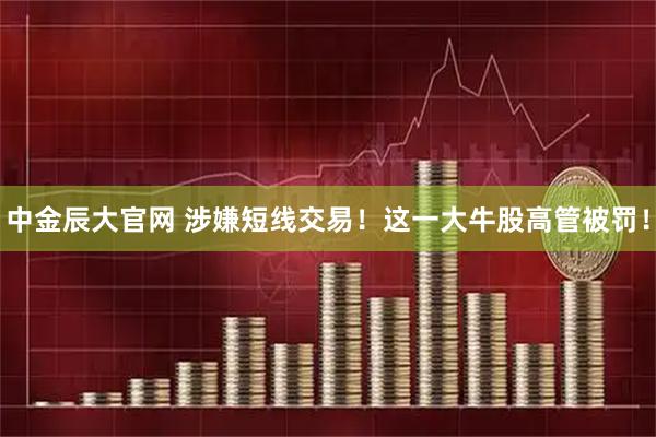 中金辰大官网 涉嫌短线交易！这一大牛股高管被罚！