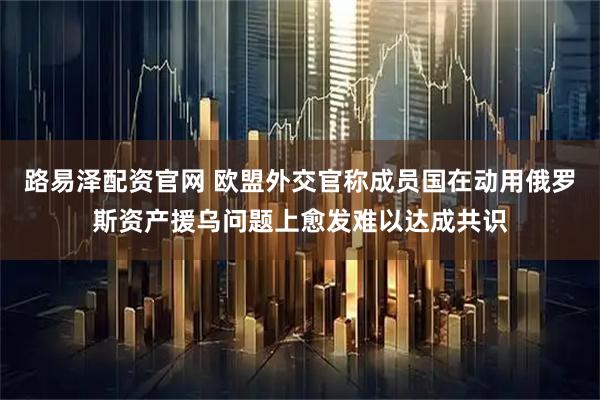 路易泽配资官网 欧盟外交官称成员国在动用俄罗斯资产援乌问题上愈发难以达成共识